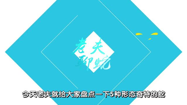 盘点那些长相奇特的蛇:头生\