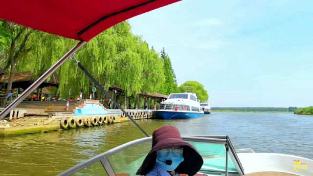 山东滕州:夏日红荷湿地美景如画(上集)