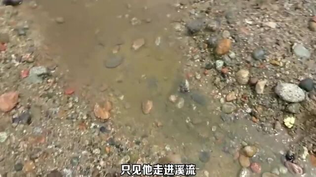 一条宝藏河流,随便一淘,都能掏出满满的宝贝!