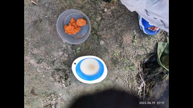 整体不错饵料疯钓鲫香味色诱米.早上出了3/4斤下午晚上就很少