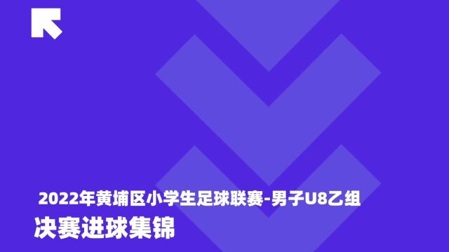 2022年黄埔区小学生足球联赛男子U8乙组决赛进球集锦