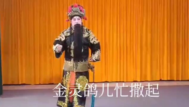 河北梆子《反长安》 河北省廊坊市固安县门铁营村河北梆子剧团演出