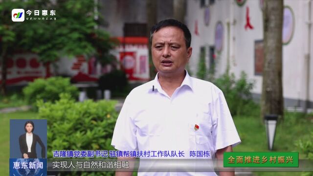 惠东县吉隆镇:加强党建 引领乡村振兴