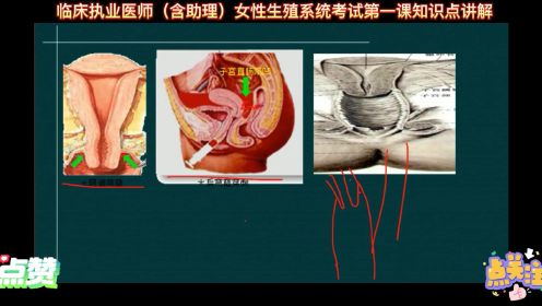 临床执业医师（含助理）女性生殖系统考试第一课知识点讲解