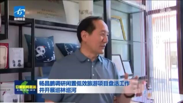 杨昌鹏调研闲置低效旅游项目盘活工作并开展巡林巡河