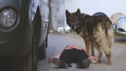 韩国大狼狗连环杀人案，为了复仇男人煞费苦心，《嚎叫》详细解说