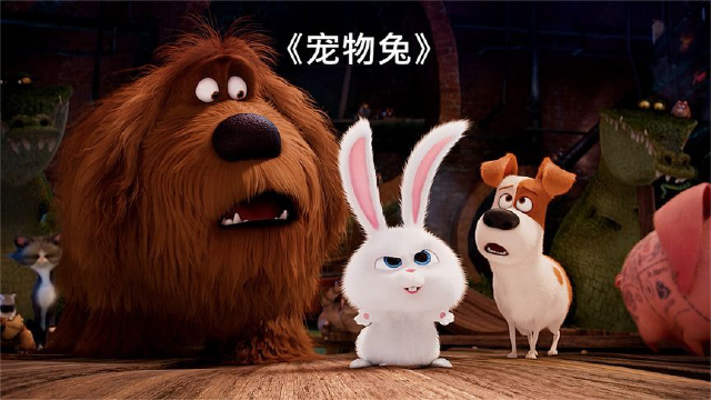 为了救出被抓的小弟,兔老大打劫了管理局的宠物车.