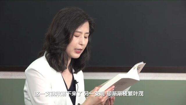 悦读汇 ⷠ名家访谈|付秀莹:在芳村《陌上》,把故乡《野望》