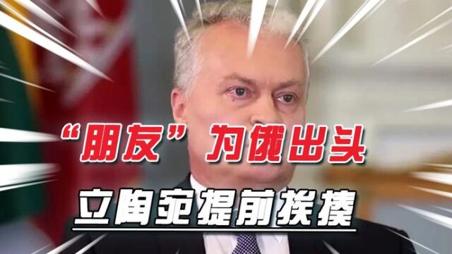 立陶宛“国家命脉”遇袭,1000个机关网站一夜瘫痪,亲俄黑客干的