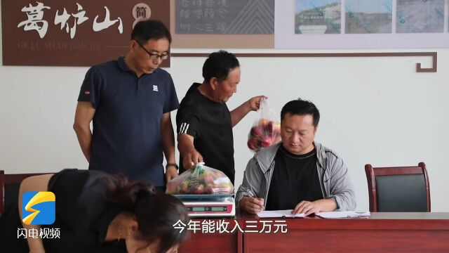 邹城大束镇桃农齐聚角逐“桃王” 以“果”为媒助力乡村振兴