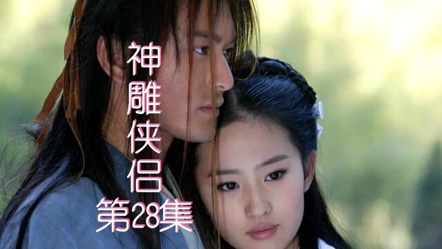 天竺舍命救杨过~金庸三部曲~神雕侠侣刘亦菲版~第28集