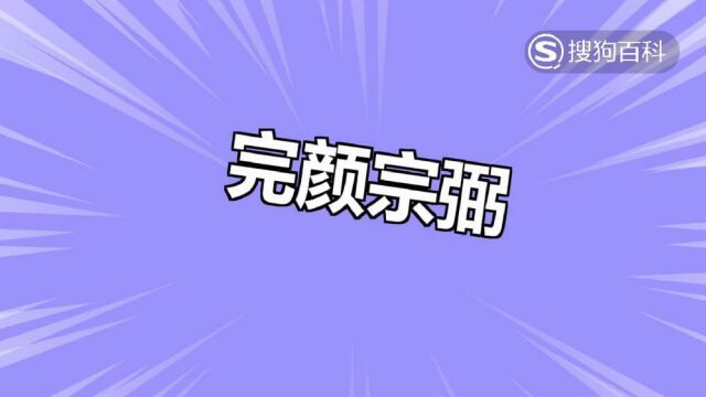 立懂百科带你了解完颜宗弼