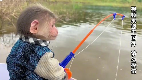 萌宠小猴子：小猴子开着小船去钓鱼，一会儿就钓到条粉色的小鱼！