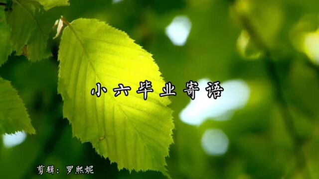 上海音乐学院附中小六毕业典礼学生寄语视频