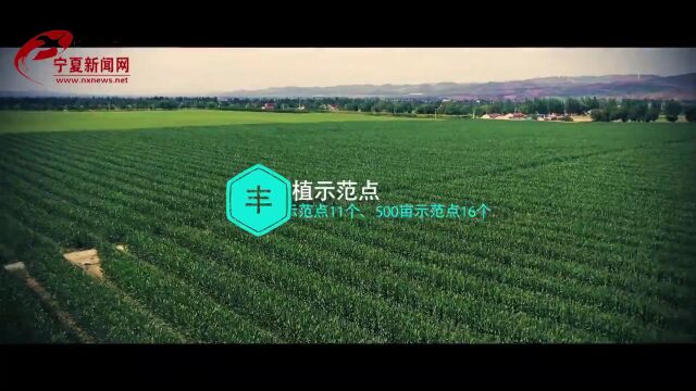 早安 固原 | 2022年7月21日 星期四