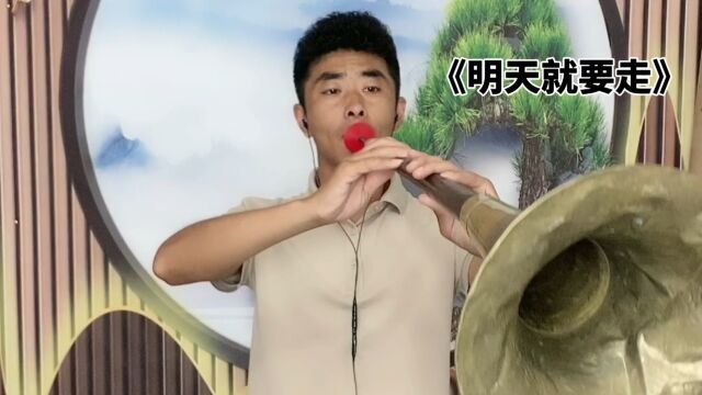 唢呐版《明天就要走》