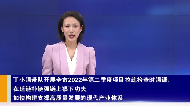 丁小强带队开展全市2022年第二季度项目拉练检查