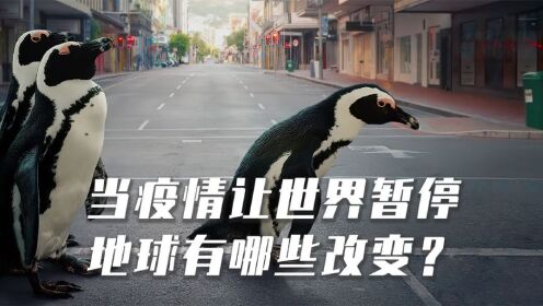 [图]高分记录片，疫情下的地球，发生了哪些变化？