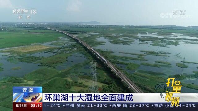 安徽环巢湖十大湿地全面建成,年净化水体能力可达2亿吨