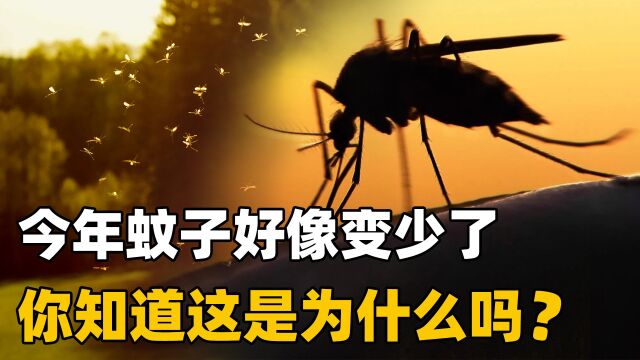 不知您有没有发现?今年的蚊子少了,知道是为什么吗?