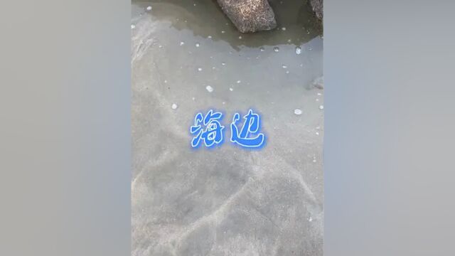 真想一直呆在海边. #海边生活 #治愈系风景 #平潭