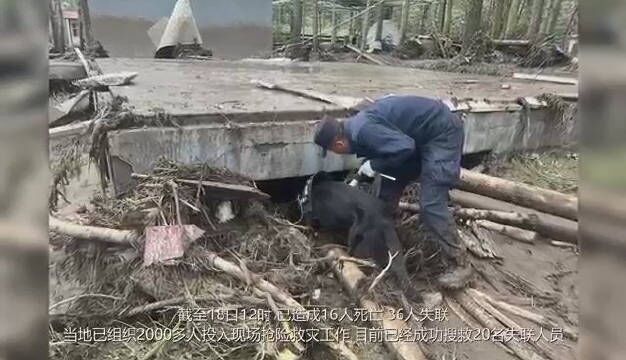 新华网西宁8月18日电(记者