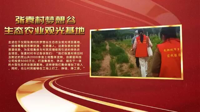 2022年暑假大学生赴山东省肥城市乡村振兴实践服务团队