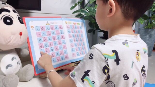 幼小衔接必备这本识字大王有声点读书,孩子的认字神器,在家也能轻松学汉字#启蒙早教