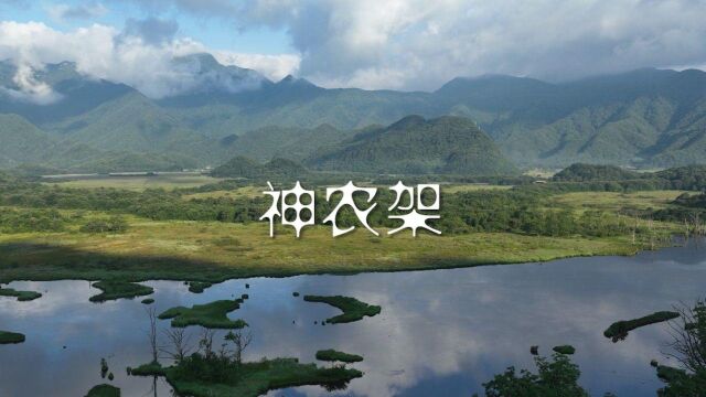 《神农架》 神农架包括:大九湖、神农顶、太子娅、天际岭等. 晨雾覆盖在大九湖水面上,构成一幅幅极美的自然景色. 神农架天气变幻莫测,上演着美轮...