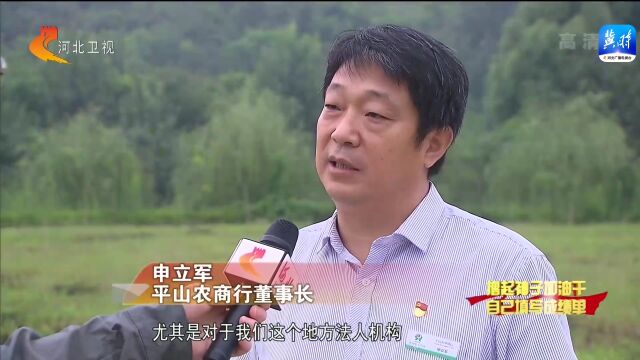 你早,河北 | 0825.国常会重磅宣布;石家庄快递小哥有了工资标准;开航母的河北女孩;听,来自黑洞的声音