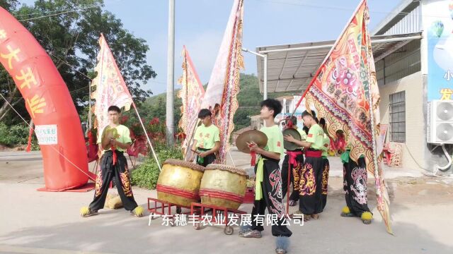 阳春春城七星小白鼠养殖基地开业大吉!