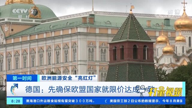 美国:实行价格上限将减少俄军事行动资金来源