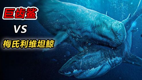 巨齿鲨VS梅氏利维坦鲸，谁才是真正的海洋霸主？