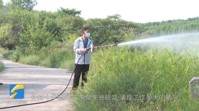 潍坊市潍城区:“机械+药物”提升林区除草效率 守护“绿水青山”