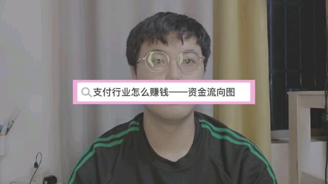 支付行业怎么赚钱→资金流向图