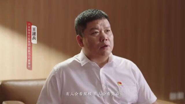 六安一公司上榜中国企业500强