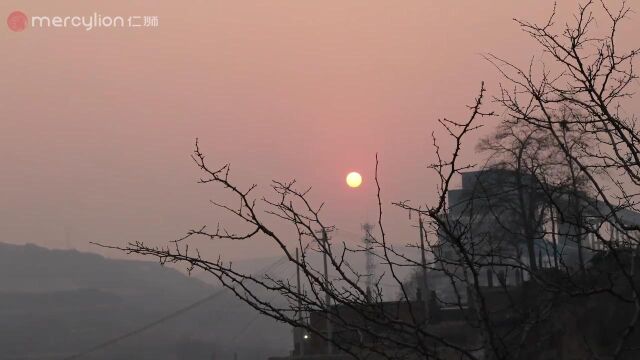 仁狮 用镜头记录美好风景