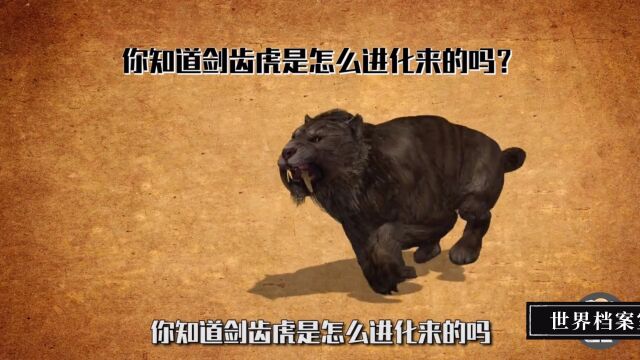 史前10000年前大型猫科动物剑齿虎,你知道是怎么进化来的吗?