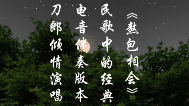 《敖包相会》民歌中的经典,电音伴奏版本,刀郎倾情演唱