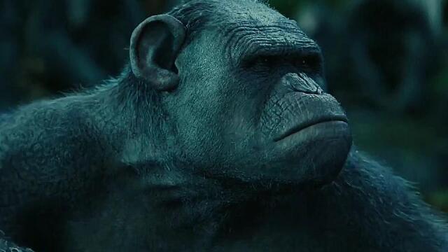 猩猩首领凯撒,带领部队安家园