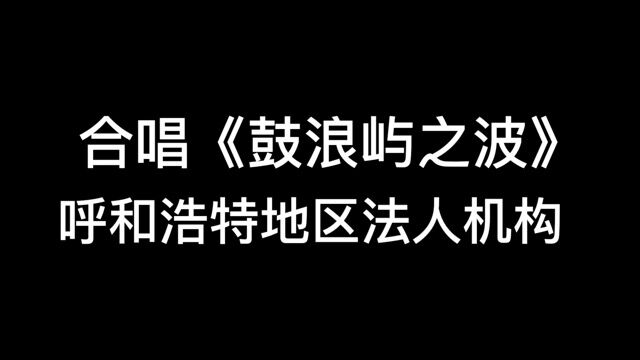 1、呼市地区法人机构大合唱 《鼓浪屿之波》