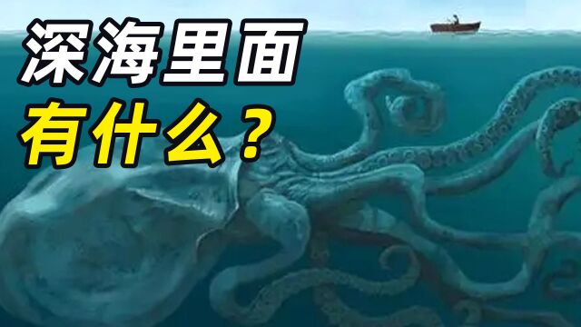 深海里面有什么?潜入海底11000米,你能坚持看到第几层?