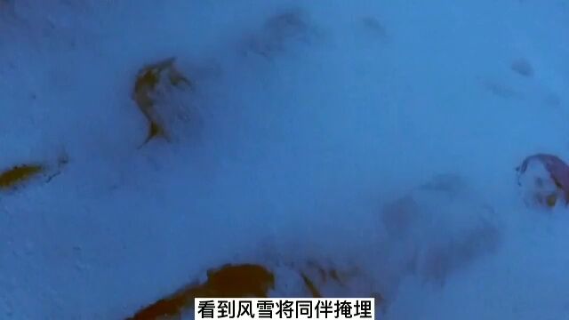 飞机失事 遇难者冰天雪地野外求生72天