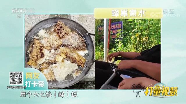 用蜂巢煮水预防鼻炎,因不能控制蜂巢卫生,建议谨慎使用