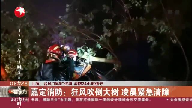 上海:台风“梅花”过境 消防24小时值守 嘉定消防:狂风吹倒大树 凌晨紧急清障