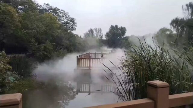 陕西宝鸡植物园风景,烟雨缭绕人间仙境治愈系风景世外桃源