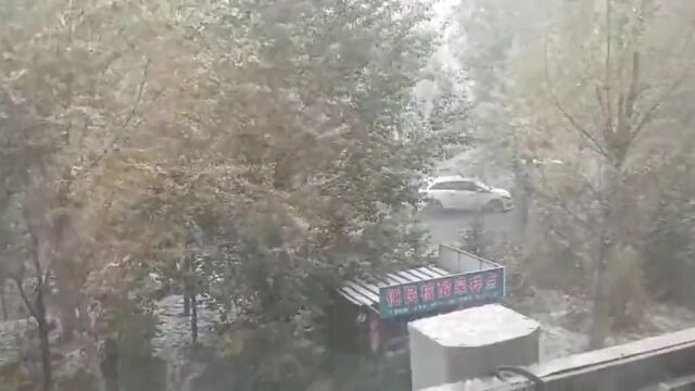 河北一地下雪啦!最低7℃!全省未来三天……