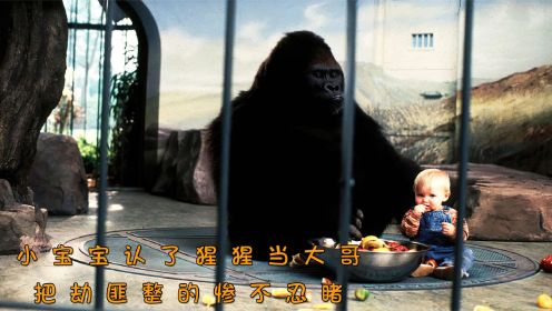 小宝宝认了猩猩当大哥，把劫匪整的惨不忍睹。电影：《小鬼当街》