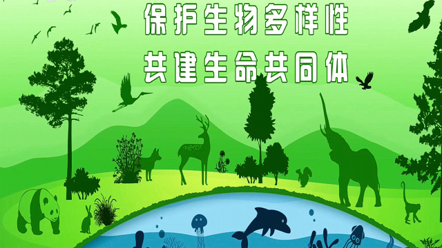 《保护生物多样性 共建生命共同体》·1080p(蓝光影音)