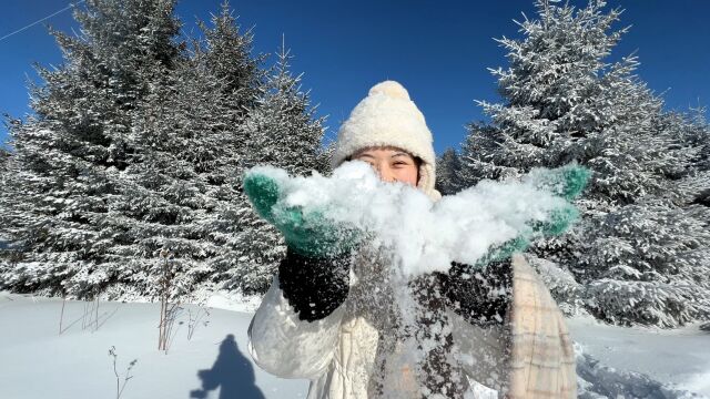 要不要一起赴一场长白山之约